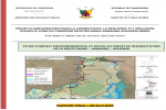 Études d'impacts environnementales et sociales du projet de réhabilitation de la route Mora-Dabanga-Kousseri